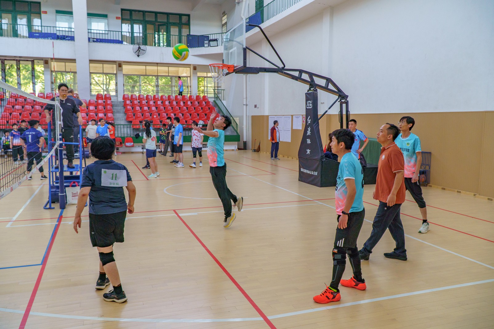 bevictor伟德官网